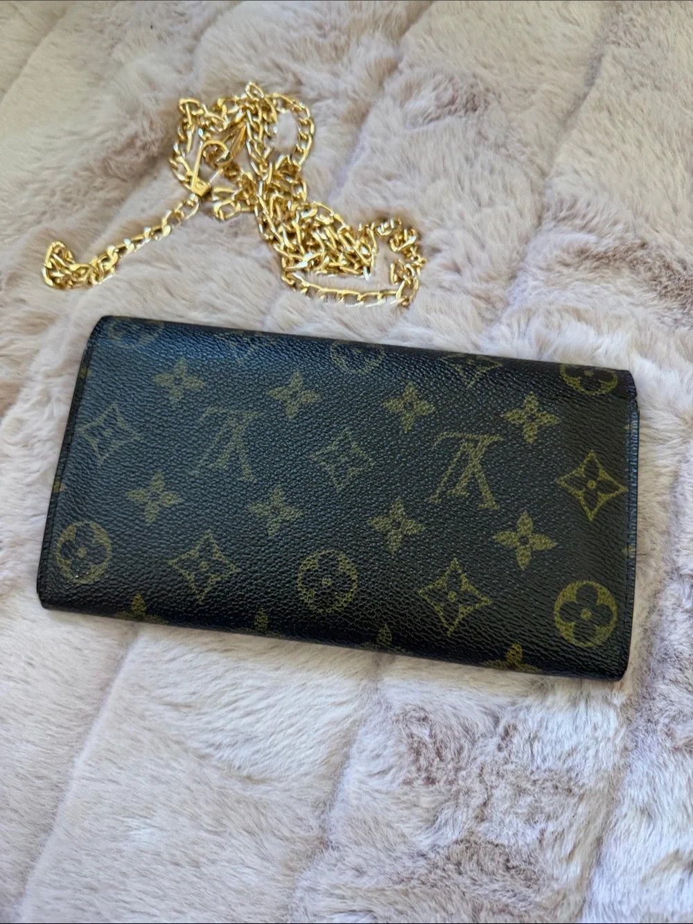 Louis Vuitton Monogram Wallet with unbranded chain in Brown with Gold Hardware